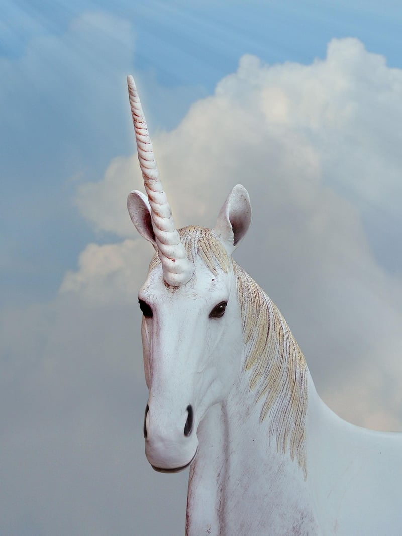 Unicorn